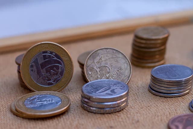 Selic a 11,25%: por que a alta?