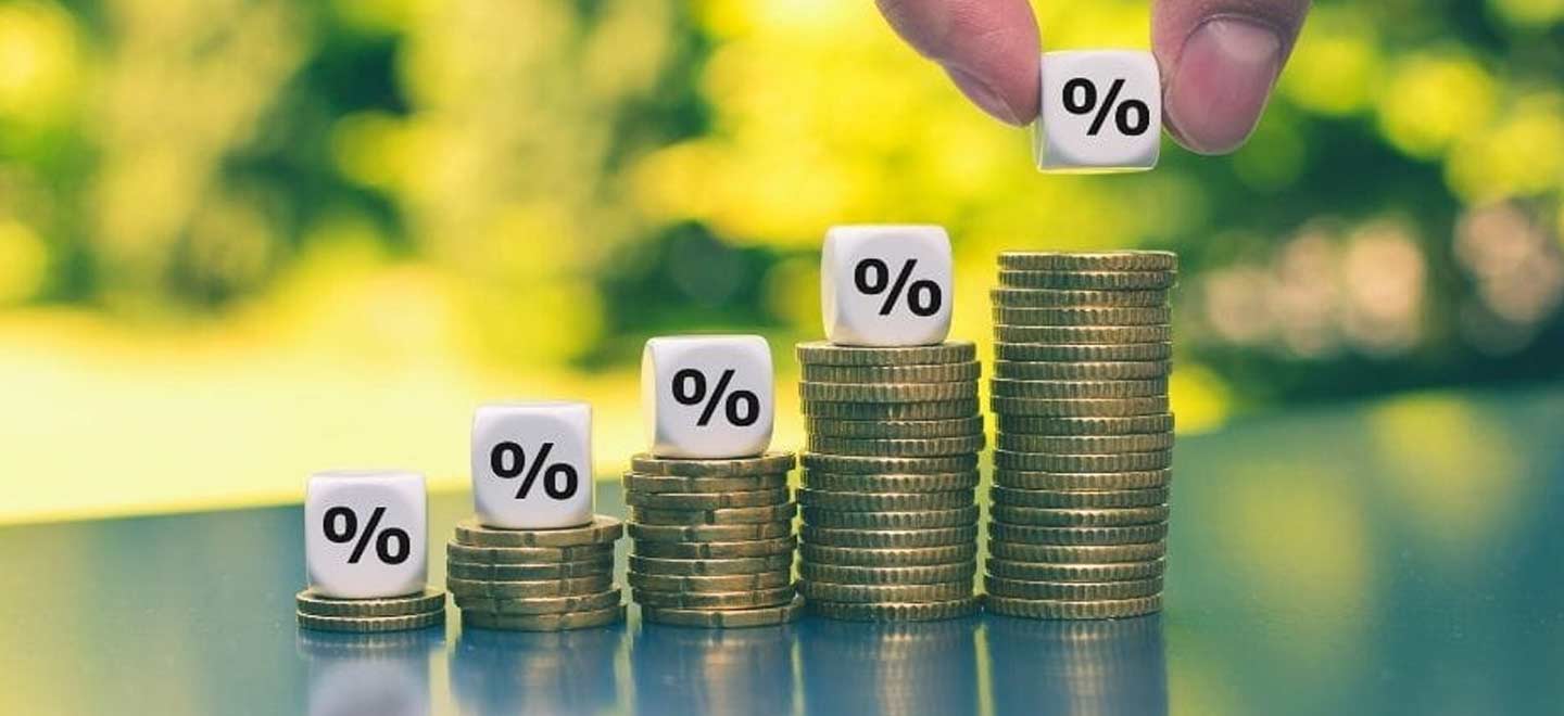 Dividendos: o que são e como funcionam?